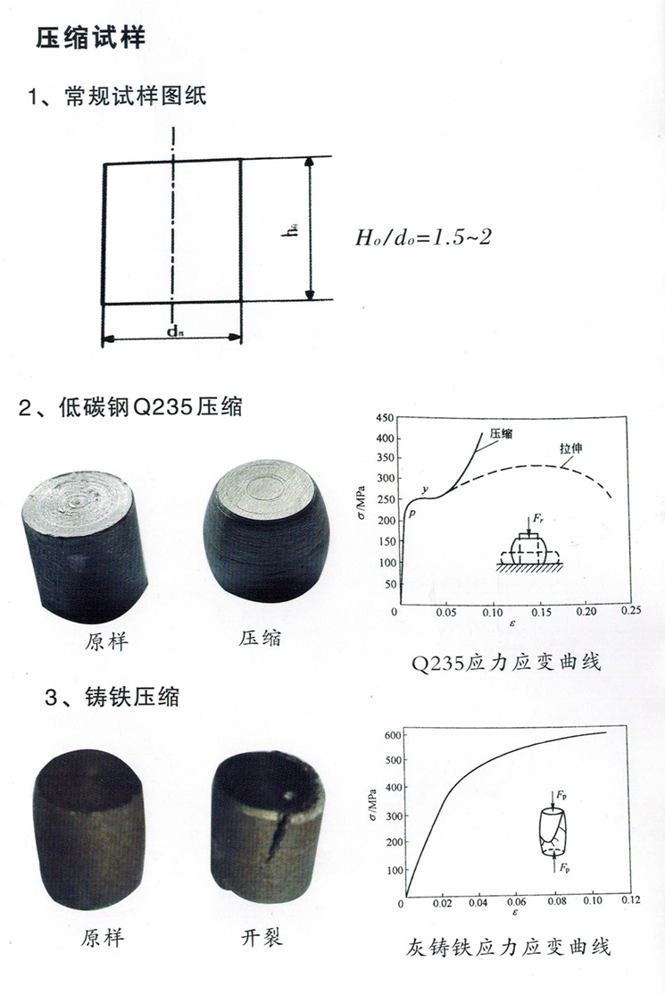 压缩试样_副本.jpg