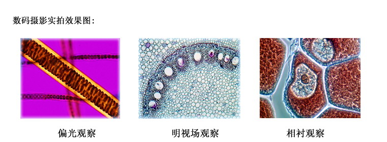 L3000 广州粤显光学仪器有限责任公司_3.jpg